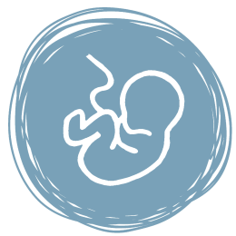 logo - fetus